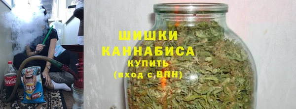 ПСИЛОЦИБИНОВЫЕ ГРИБЫ Горно-Алтайск