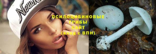 бошки Горняк