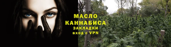 сатива Вязьма