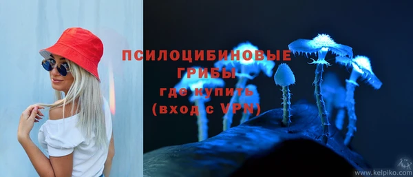 сатива Вязьма