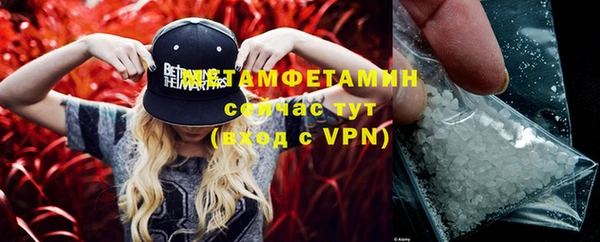 сатива Вязьма