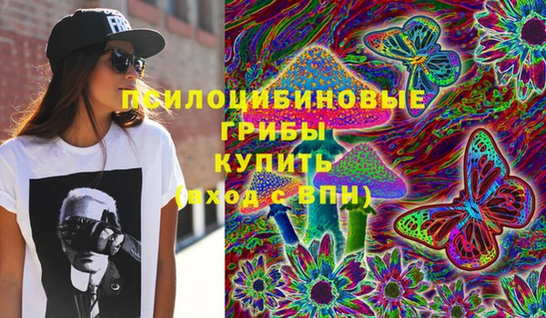 ГАЛЛЮЦИНОГЕННЫЕ ГРИБЫ Горнозаводск