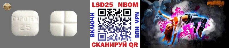 где найти наркотики  Елизаветинская  Лсд 25 экстази кислота 