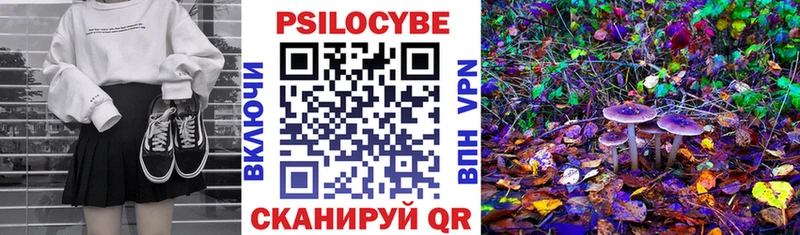 даркнет телеграм  Елизаветинская  Псилоцибиновые грибы MAGIC MUSHROOMS  магазин  наркотиков  mega как войти 